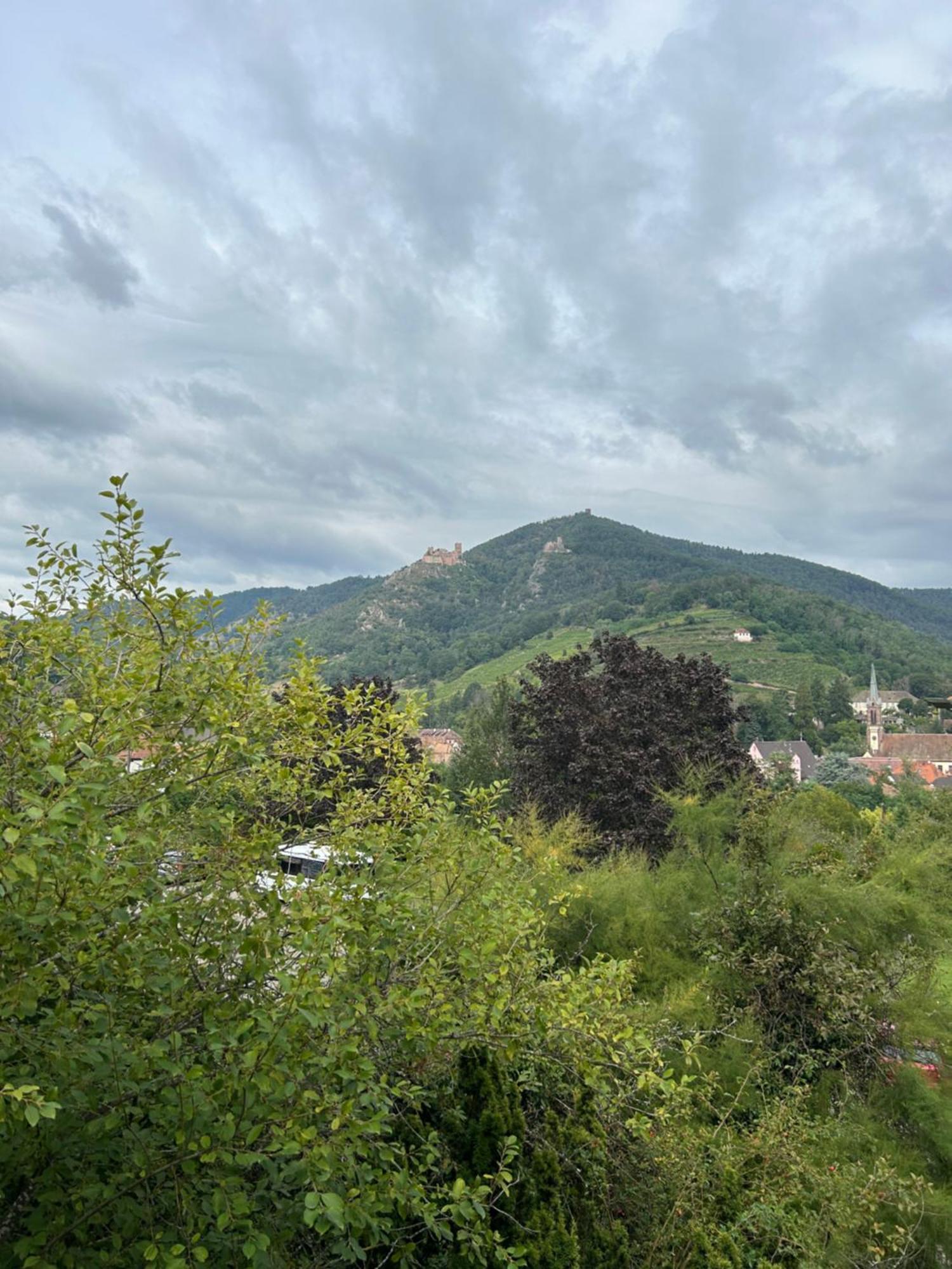 Vue Magnifique Sur Les Chateaux Ribeauville (Haut-Rhin)